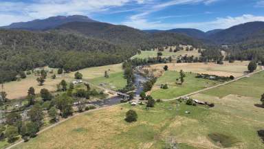 Farm For Sale - TAS - Liena - 7304 - Forested Land  (Image 2)