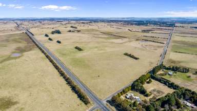 Farm Sold - NSW - Armidale - 2350 - "Arding" Highly Regarded Grazing Block  (Image 2)