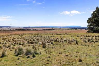 Farm Sold - NSW - Armidale - 2350 - "Arding" Highly Regarded Grazing Block  (Image 2)