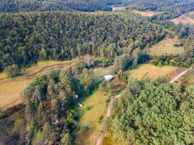 Farm Sold - NSW - Putty - 2330 - Escape the city hustle & bustle - rural escape on approximately 48 acres  (Image 2)