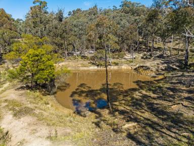 Farm Sold - NSW - Bungonia - 2580 - Escape To The Bush  (Image 2)