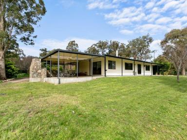 Farm Sold - VIC - Nicholson - 3882 - SECLUDED AND SERENE IN NICHOLSON  (Image 2)
