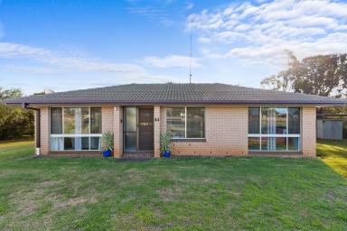 Farm Sold - QLD - Cambooya - 4358 - Room for the kids, the pets and all the toys!  (Image 2)
