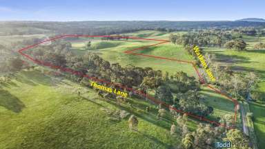 Farm Sold - VIC - Heathcote - 3523 - MAJESTIC MIA MIA  (Image 2)