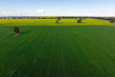 Farm Sold - NSW - Narrandera - 2700 - Large Scale Riverina Farming  (Image 2)