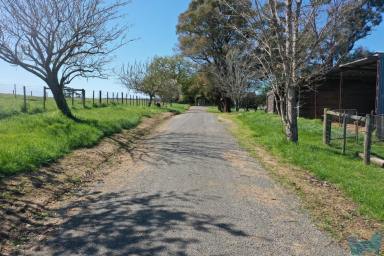 Farm Sold - VIC - Sarsfield - 3875 - 4 hectares (10 acres) with Nicholson River frontage.  (Image 2)