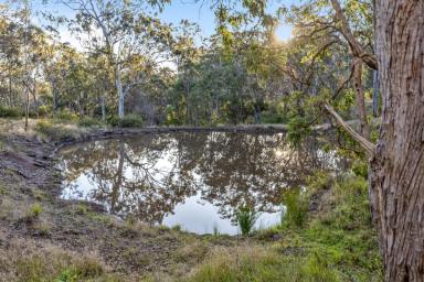 Farm Sold - QLD - Upper Pilton - 4361 - Secluded Bush Getaway  (Image 2)
