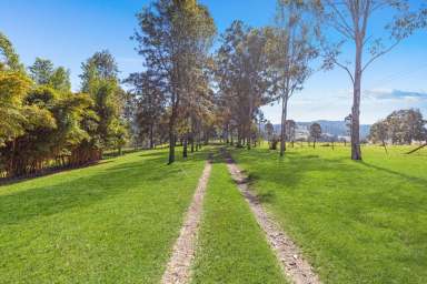 Farm Sold - QLD - The Palms - 4570 - Farm or River stays?  (Image 2)