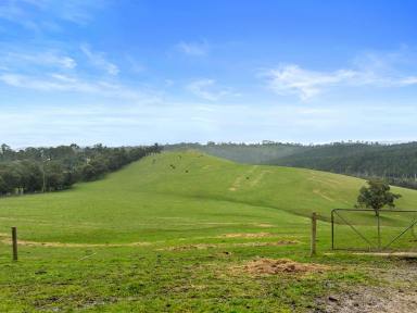 Farm For Sale - VIC - Heathcote Junction - 3758 - BREATHTAKING FARMLAND WITH FUTURE RESIDENTIAL SUBDIVISION POTENTIAL (S.T.C.A)  (Image 2)