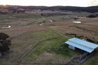 Farm Sold - NSW - Frogmore - 2586 - 117ACRES* - CREEK FRONTAGE - BUILDING ENTITLEMENT!  (Image 2)