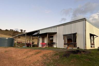 Farm Sold - NSW - Frogmore - 2586 - 117ACRES* - CREEK FRONTAGE - BUILDING ENTITLEMENT!  (Image 2)