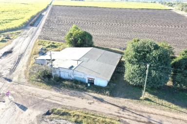 Farm For Sale - QLD - Osborne - 4806 - Queenslander and Large 970m2 Shed on 5526m2 Block  (Image 2)