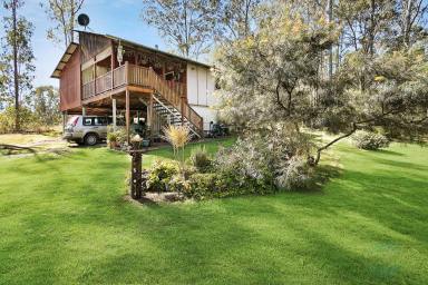 Farm Sold - QLD - Conondale - 4552 - SOLD BY BRANT AND BERNHARDT PROPERTY!  (Image 2)