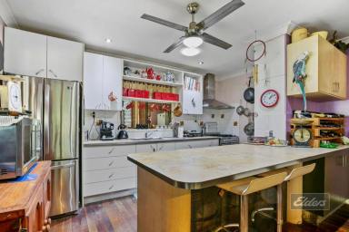 Farm Sold - QLD - Bauple - 4650 - PERFECT FOR PRIVACY!  (Image 2)