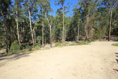 Farm Sold - NSW - Kew - 2439 - MAKE AN OFFER  (Image 2)