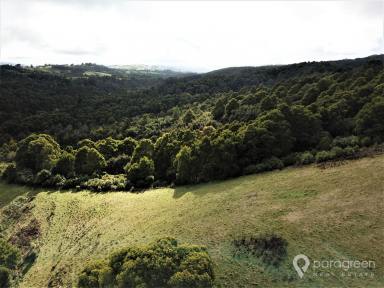 Farm Sold - VIC - Dollar - 3871 - RARE RURAL OPPORTUNITY  (Image 2)