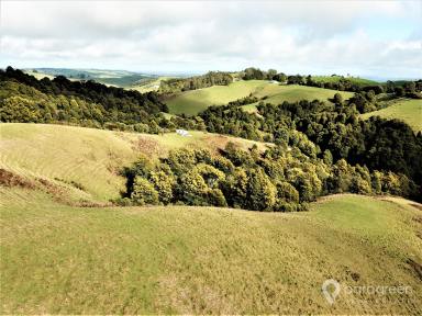 Farm Sold - VIC - Dollar - 3871 - RARE RURAL OPPORTUNITY  (Image 2)