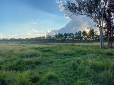 Farm Sold - QLD - Kingaroy - 4610 - This property is PRICED TO SELL with superb location and secure water supply!!  (Image 2)