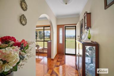Farm Sold - NSW - Wingham - 2429 - NOT JUST A PROPERTY,  IT'S A LIFESTYLE  (Image 2)
