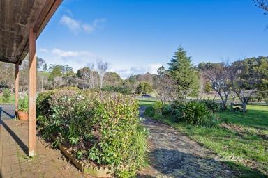 Farm Sold - TAS - East Cam - 7321 - YOUR COUNTRY RETREAT ONLY MINUTES FROM TOWN!  (Image 2)