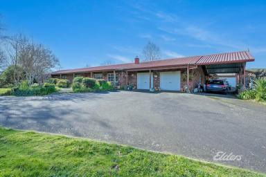 Farm Sold - TAS - East Cam - 7321 - YOUR COUNTRY RETREAT ONLY MINUTES FROM TOWN!  (Image 2)