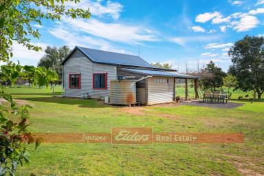 Farm For Sale - WA - Donnybrook - 6239 - THE HORSE COMMUNITY IS CALLING! IDEAL PROPERTY IN THE PERFECT LOCATION  (Image 2)