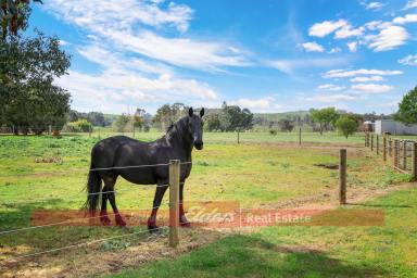 Farm For Sale - WA - Donnybrook - 6239 - THE HORSE COMMUNITY IS CALLING! IDEAL PROPERTY IN THE PERFECT LOCATION  (Image 2)