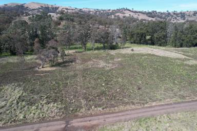 Farm Sold - NSW - Cassilis - 2329 - Vista 360 degrees!  (Image 2)