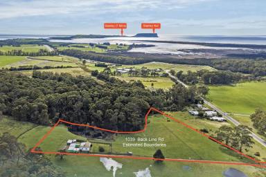 Farm For Sale - TAS - Forest - 7330 - Lifestyle property on over 5 acres!  (Image 2)