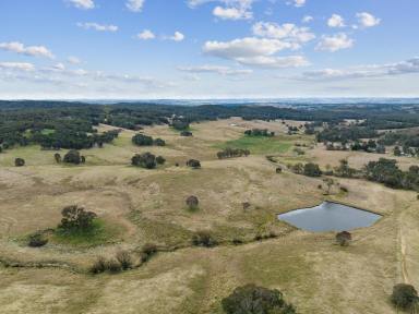Farm Sold - NSW - Goulburn - 2580 - "The Meadows"  (Image 2)