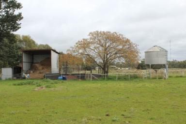 Farm Sold - NSW - Lockhart - 2656 - Rural lifestyle on the town fringes  (Image 2)