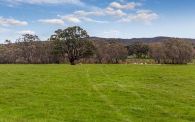 Farm For Sale - VIC - Axe Creek - 3551 - Exclusive Land Release  (Image 2)