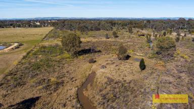 Farm Sold - NSW - Gulgong - 2852 - THE BEGINNING OF YOUR RURAL DREAMS  (Image 2)
