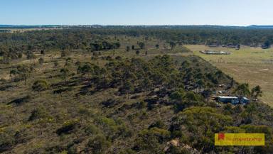 Farm Sold - NSW - Gulgong - 2852 - THE BEGINNING OF YOUR RURAL DREAMS  (Image 2)