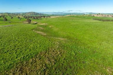 Farm Sold - NSW - Jugiong - 2726 - Highly sought after farming and lifestyle  (Image 2)