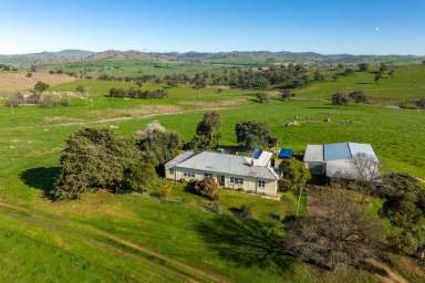 Farm Sold - NSW - Jugiong - 2726 - Highly sought after farming and lifestyle  (Image 2)