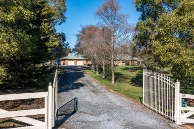 Farm Sold - TAS - Riverside - 7250 - Country Living – City Convenience  (Image 2)