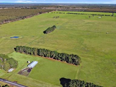 Farm Sold - VIC - Branxholme - 3302 - AUCTION   318.41 Acres - 128.86 Hectares approx.  (Image 2)