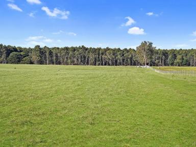 Farm Sold - VIC - Branxholme - 3302 - AUCTION   318.41 Acres - 128.86 Hectares approx.  (Image 2)