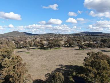 Farm Sold - NSW - Stockinbingal - 2725 - Diverse package ideal for graziers  (Image 2)