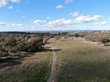 Farm Sold - NSW - Stockinbingal - 2725 - Diverse package ideal for graziers  (Image 2)