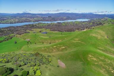 Farm For Sale - VIC - Mansfield - 3722 - STUNNING LAKE AND MOUNTAIN VIEWS  (Image 2)