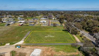 Farm For Sale - VIC - Waldara - 3678 - ARE YOU READY TO BUILD?  (Image 2)