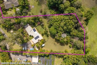 Farm Sold - QLD - Mooloolah Valley - 4553 - As Rare as Seeing a Platypus!  (Image 2)