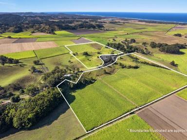 Farm Sold - NSW - Crabbes Creek - 2483 - Coastal Farmland with Dwelling Entitlements  (Image 2)