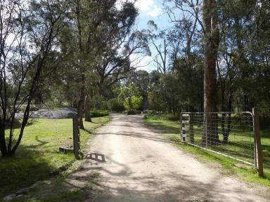 Farm Sold - QLD - Nundubbermere - 4380 - Beautiful Granite homestead/160 acres native bush land / One of a kind  (Image 2)