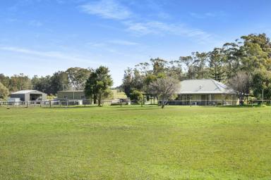 Farm Sold - NSW - Berry - 2535 - Broadway Park  (Image 2)