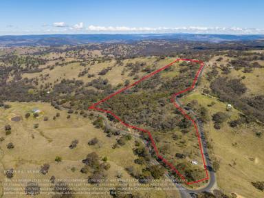 Farm Sold - NSW - Turondale - 2795 - “Ridge View” 10.8Ha or 26.8Ac  (Image 2)