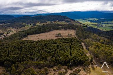 Farm Sold - TAS - Blessington - 7212 - ‘Summerhill”, The Ultimate Property on 337 Acres…  (Image 2)
