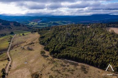 Farm Sold - TAS - Blessington - 7212 - ‘Summerhill”, The Ultimate Property on 337 Acres…  (Image 2)
